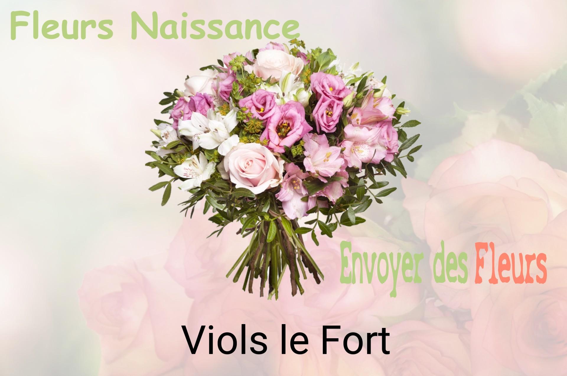 Bouquet de fleurs de naissance livré à Viols-le-Fort