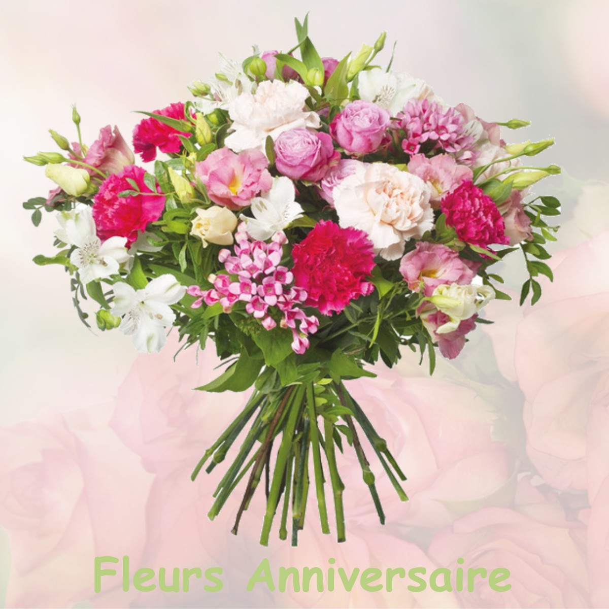 fleurs anniversaire VIOLS-LE-FORT